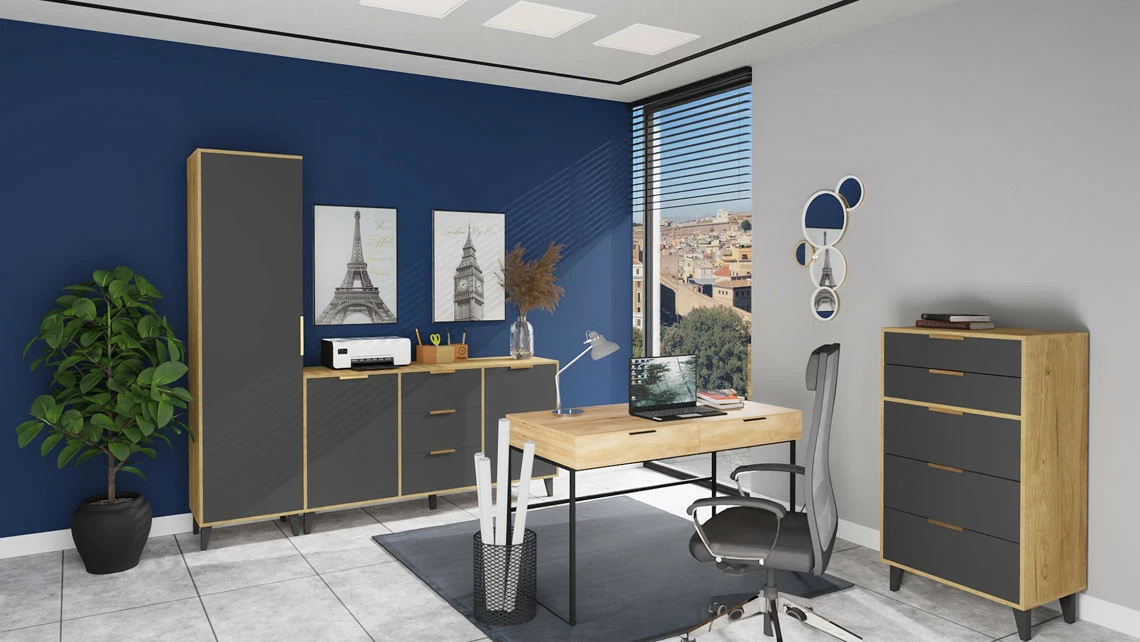 meble-biurowe--jak-stworzyc-modne-funkcjonalne-i-przytulne-biuro