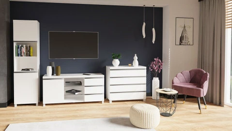 biale-meble-w-salonie--absolutny-klasyk