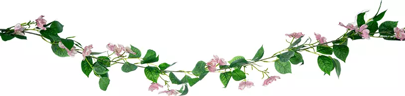 Girlanda Magnolia 21