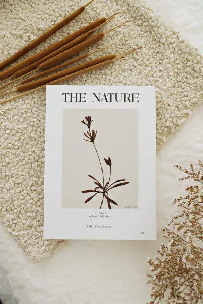 Książka dekoracyjna Nature Books 8 The Nature
