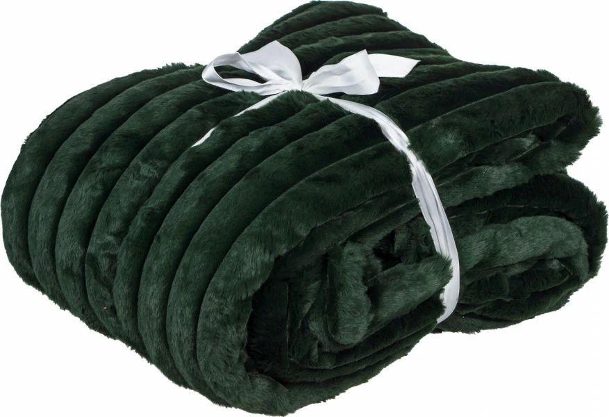 Koc Celso 56 (zielony) 