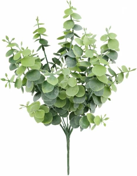 Gałązka eukaliptusa Florino 133