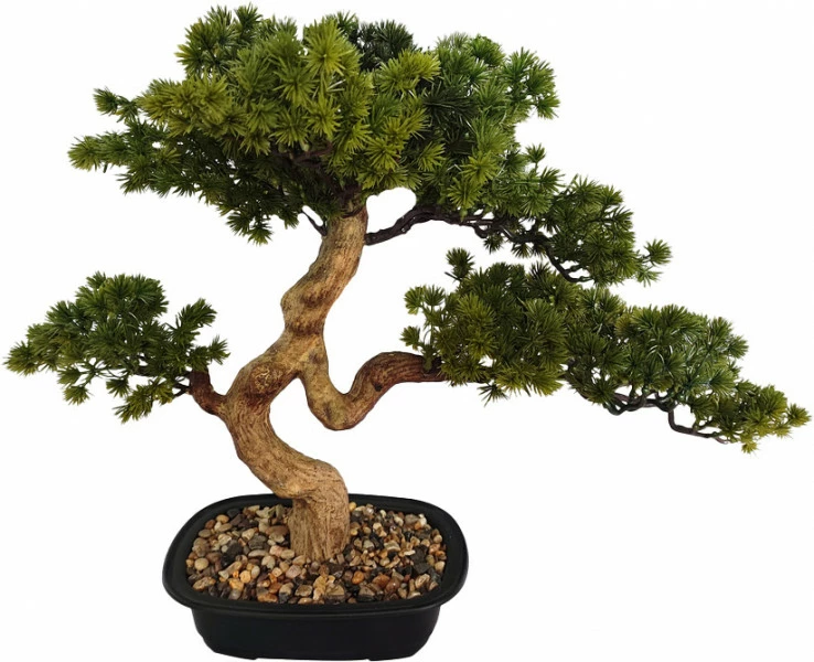 Drzewko Bonsai Florino 135