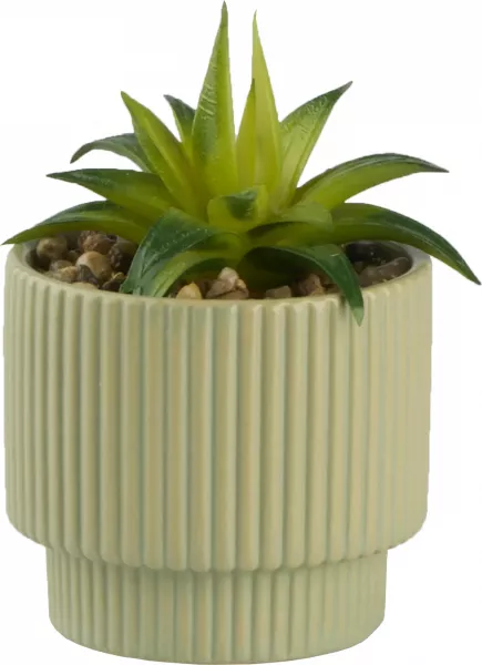 Roślina Naturos 156 