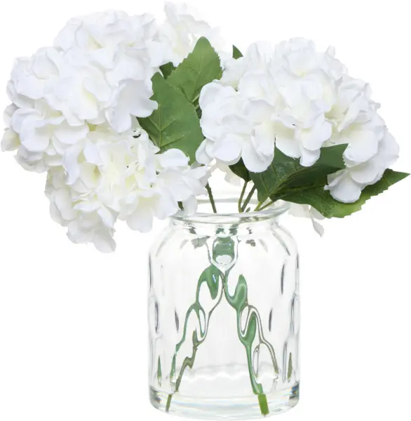 Roślina bukiet hortensji Florino 168