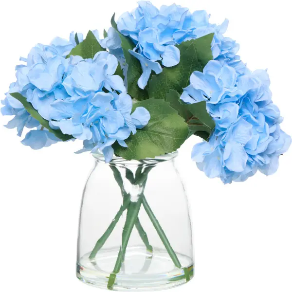 Roślina bukiet hortensji Florino 170