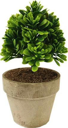 Ozdoba Meria 50 roślinka w cementowej doniczce