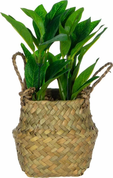 Sztuczna roślina Tasso 55