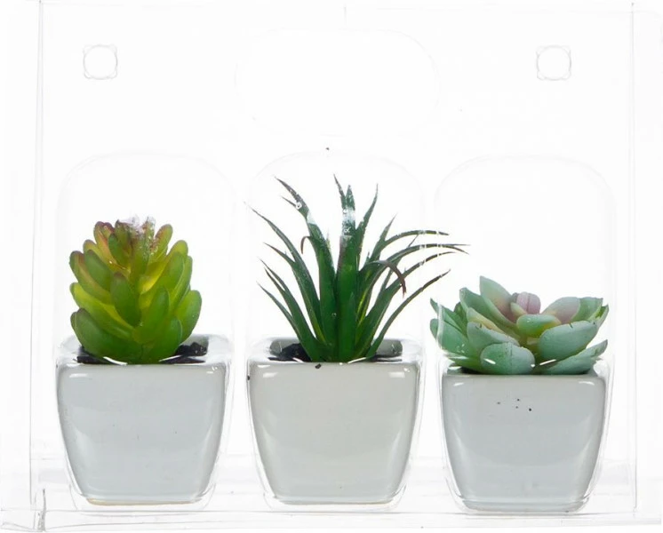 Zestaw trzech roślinek w ceramice Tasso 56