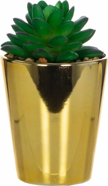 Roślinka w ceramicznej doniczce Tasso 58