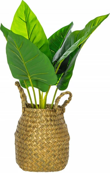 Sztuczna roślina Florino 90 (liście Kalli)