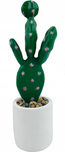 Kaktus Florino 8