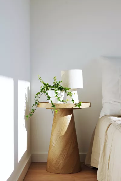 Stolik kawowy Naturos 45x58 (dąb)