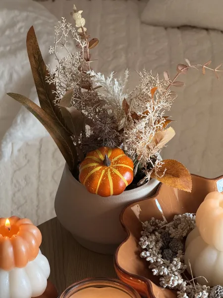Roślina Autumn 162
