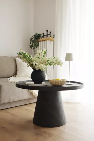 Stolik kawowy Naturos 80x47 (czarny) 