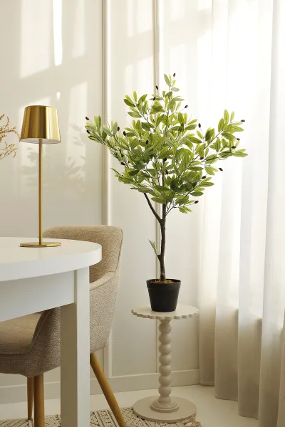 Drzewko oliwne Florino 129