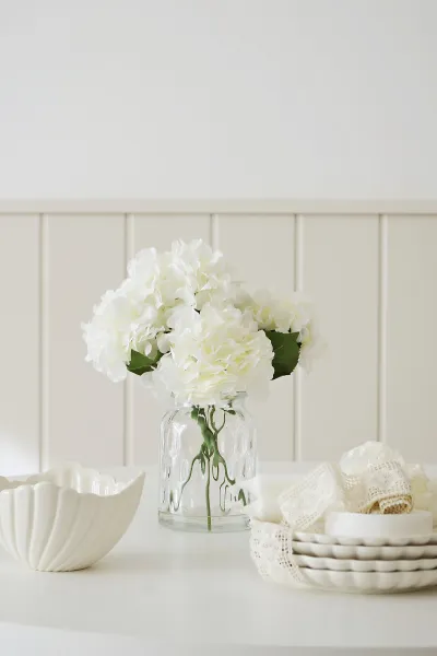 Roślina bukiet hortensji Florino 168