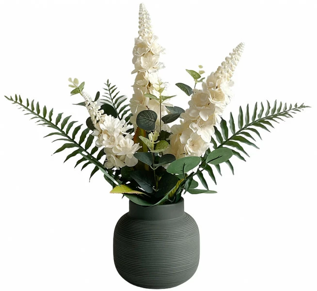 Roślina Florino 100 