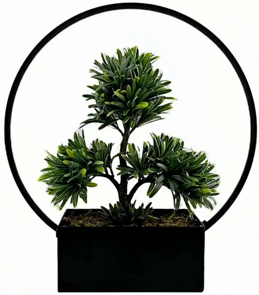 Roślina Florino 104