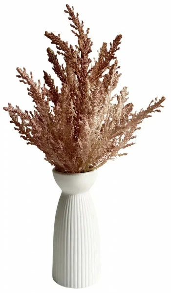 Roślina Florino 107 