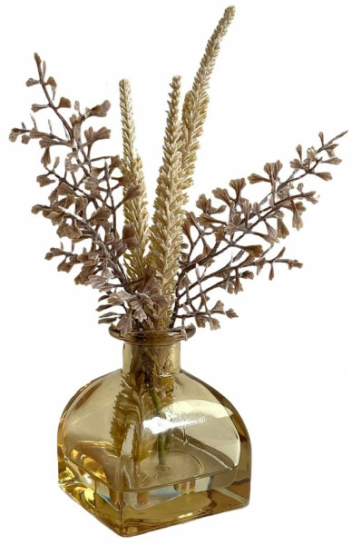 Roślina Florino 108