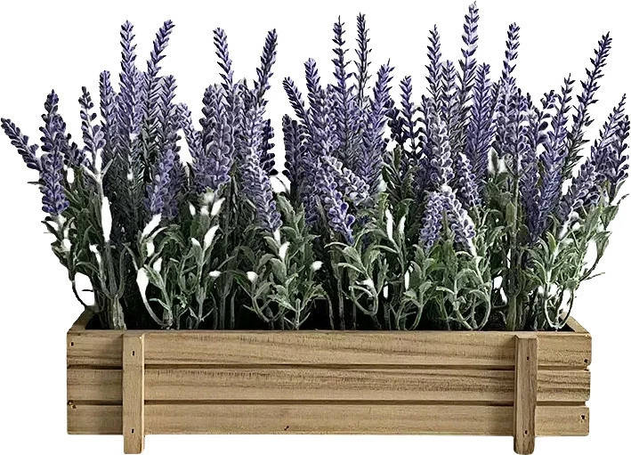 Wrzosy w skrzynce Florino 110 