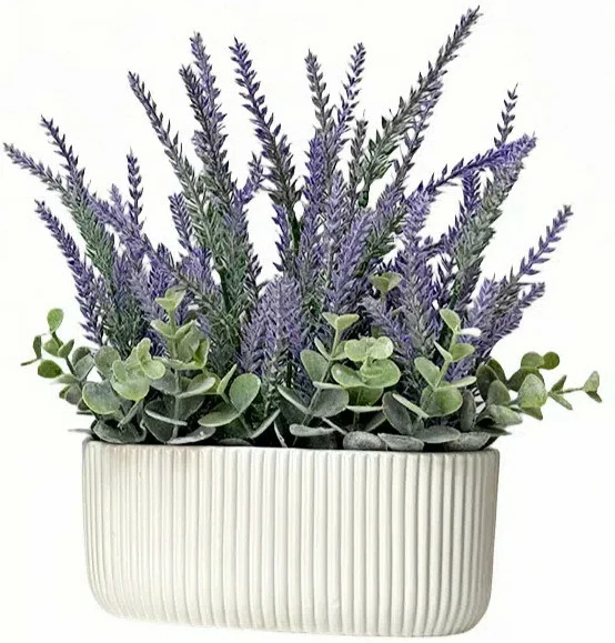 Roślina Florino 111