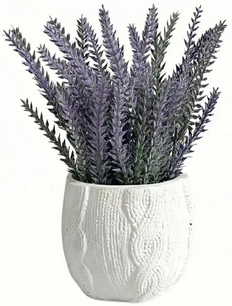 Roślina Florino 112