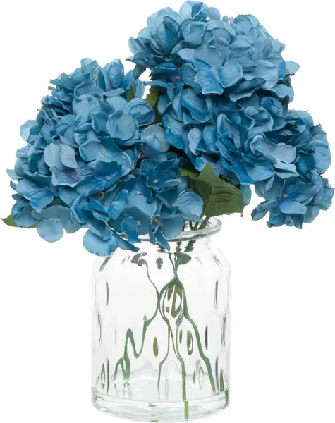 Roślina bukiet hortensji Florino 167