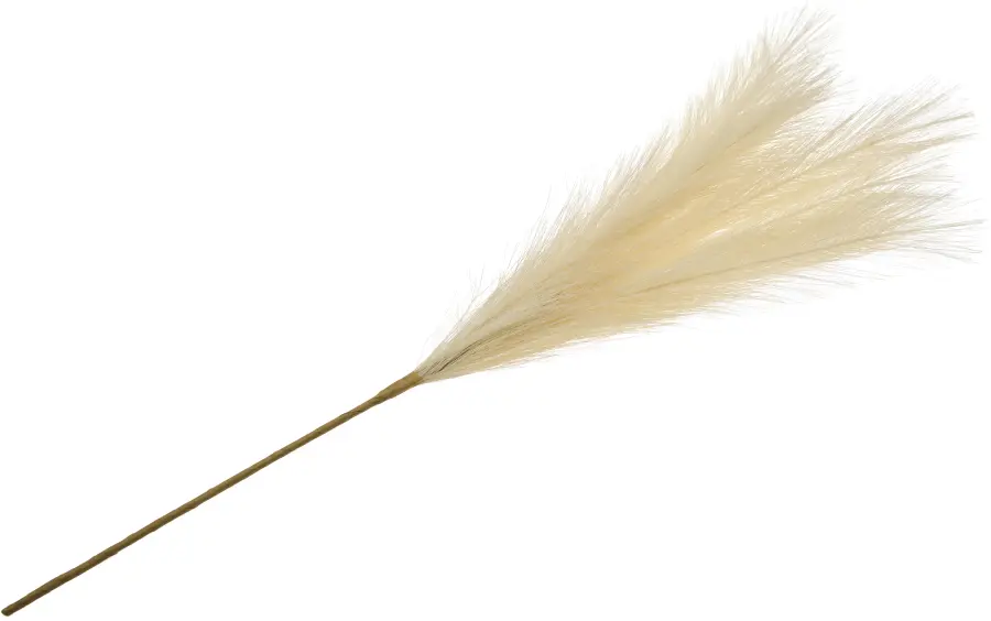 Gałązka trawy pampasowej Florino 159 (beżowy)