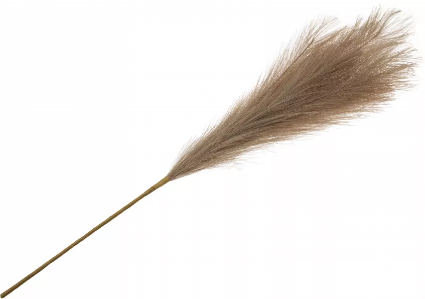 Gałązka trawy pampasowej Florino 159 (cappuccino) 