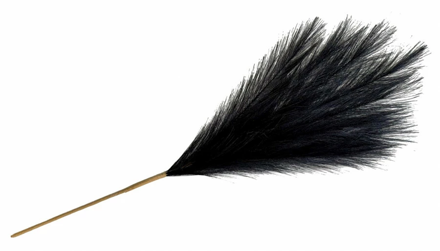 Gałązka trawy pampasowej Florino 159 (czarny) 