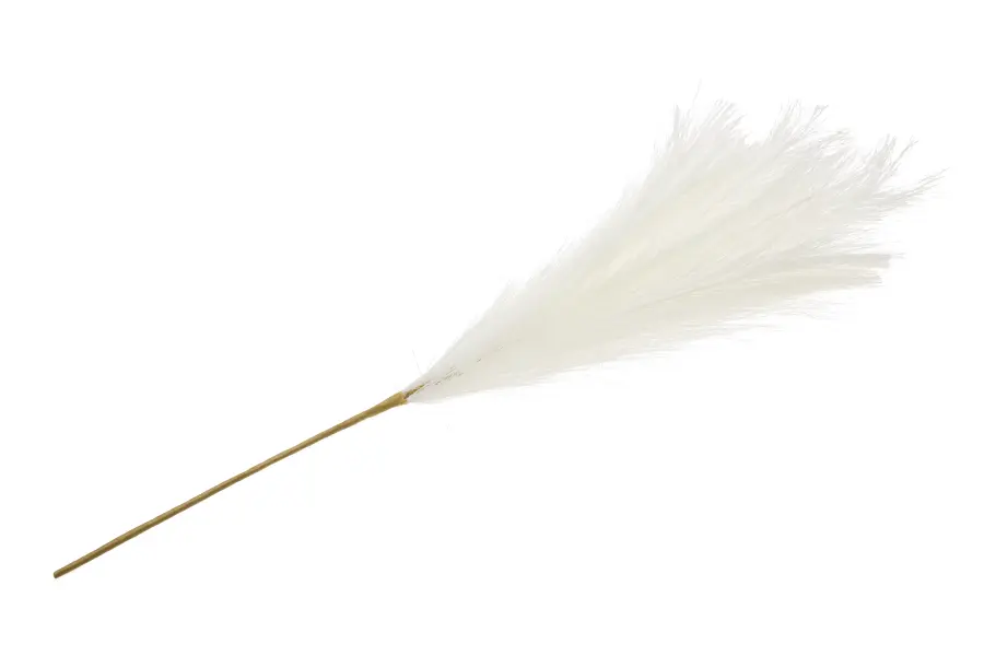 Gałązka trawy pampasowej Florino 159 (kremowy)