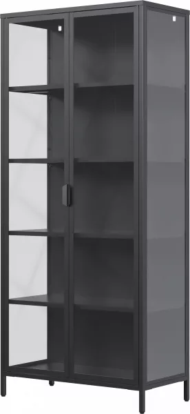 Witryna metalowa Groovi 2 drzwiowa (czarny) 