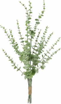 Gałązka eukaliptusa Florino 132 