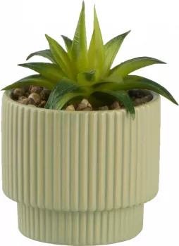 Roślina Naturos 156 