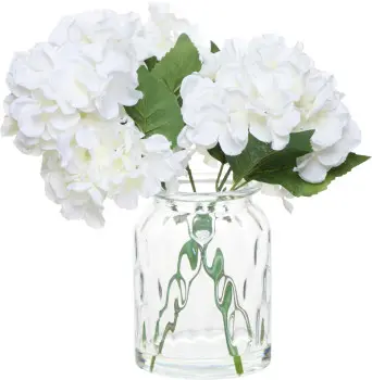 Roślina bukiet hortensji Florino 168 