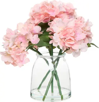 Roślina bukiet hortensji Florino 169