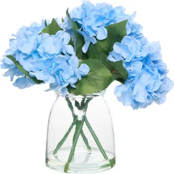 Roślina bukiet hortensji Florino 170