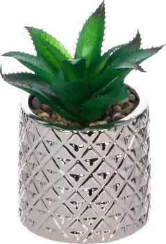 Roślinka w ceramicznej doniczce Tasso 57 