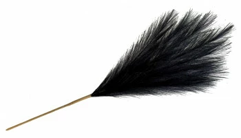 Gałązka trawy pampasowej Florino 159 (czarny) 