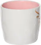 mini_image