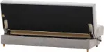 mini_image