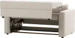 mini_image