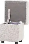 mini_image