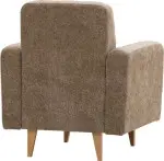 mini_image