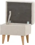 mini_image