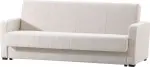 mini_image
