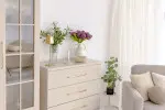 mini_image