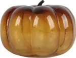 mini_image
